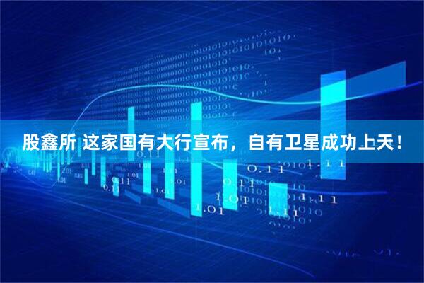 股鑫所 这家国有大行宣布，自有卫星成功上天！