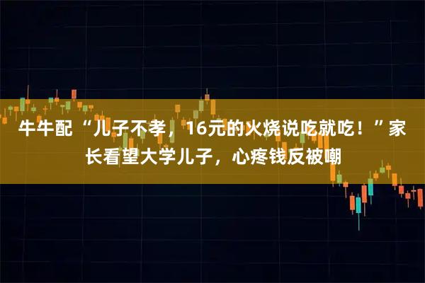 牛牛配 “儿子不孝,16元的火烧说吃就吃!”家长看望大学儿子,心疼钱反被嘲