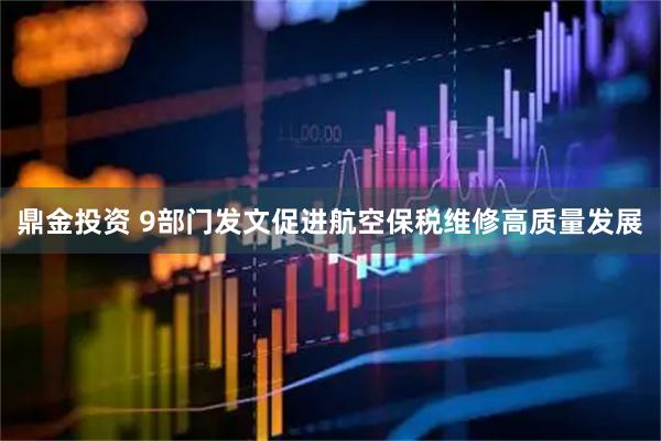 鼎金投资 9部门发文促进航空保税维修高质量发展