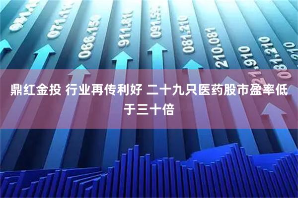 鼎红金投 行业再传利好 二十九只医药股市盈率低于三十倍